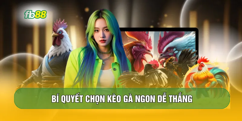 Bí quyết chọn kèo gà ngon dễ thắng