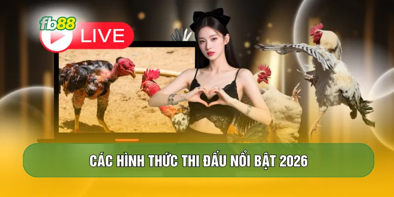 Các hình thức thi đấu nổi bật 2026