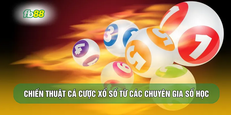 Chiến thuật cá cược xổ số từ các chuyên gia số học