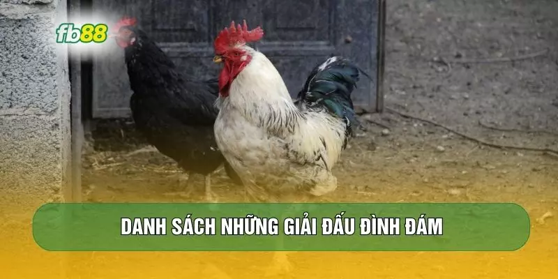 Danh sách những giải đấu đình đám
