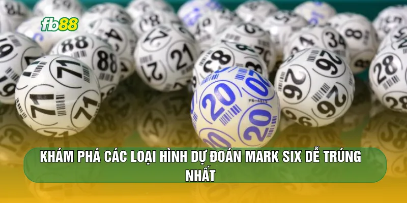 Khám phá các loại hình dự đoán Mark Six dễ trúng nhất
