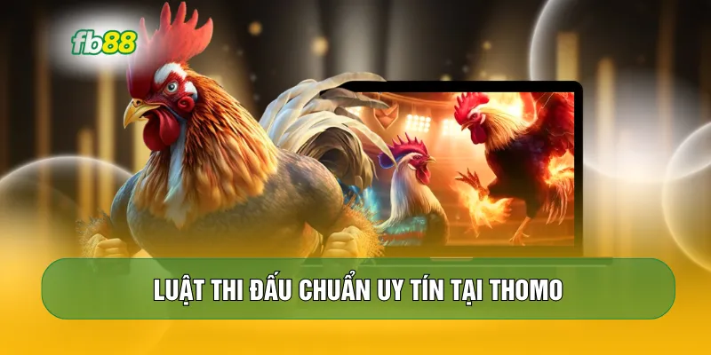 Luật thi đấu chuẩn uy tín tại Thomo