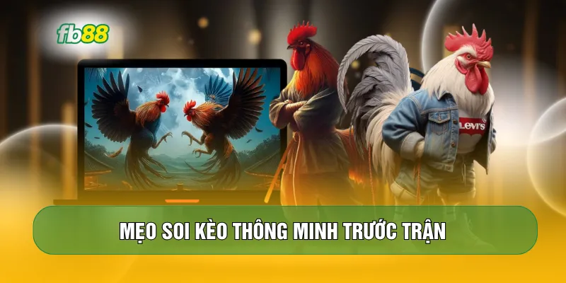 Mẹo soi kèo thông minh trước trận