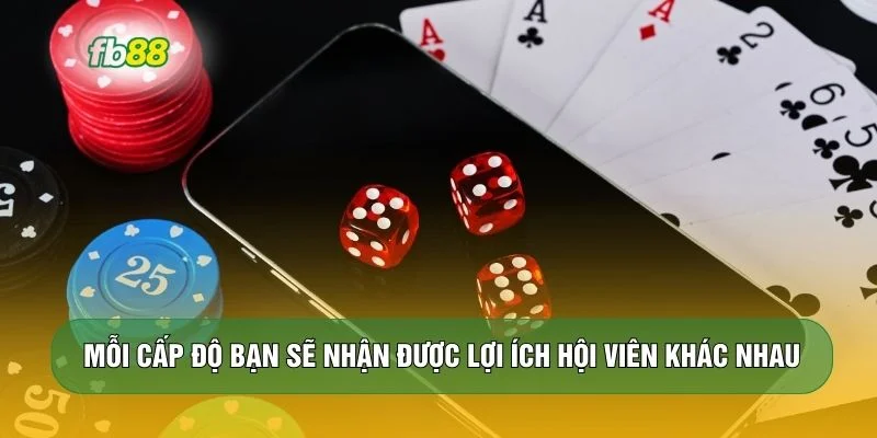 Mỗi cấp độ bạn sẽ nhận được lợi ích hội viên khác nhau