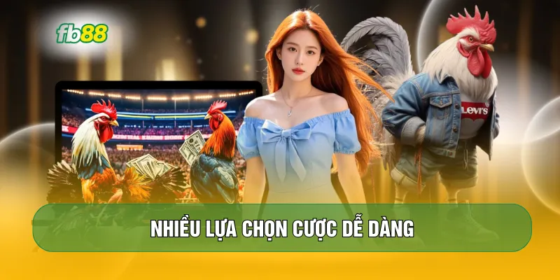 Nhiều lựa chọn cược dễ dàng