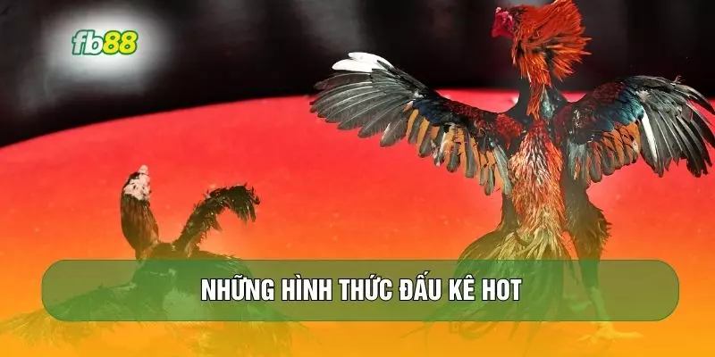 Những hình thức đấu kê hot
