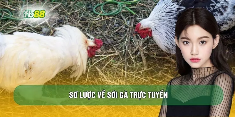 Sơ lược về sới gà trực tuyến