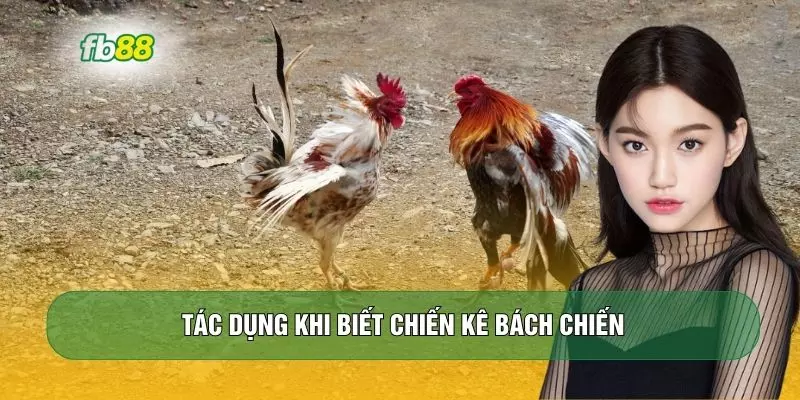 Tác dụng khi biết chiến kê bách chiến