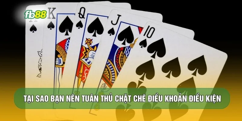 Tại sao bạn nên tuân thủ chặt chẽ điều khoản điều kiện