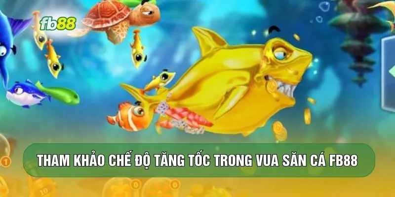 Tham khảo chế độ tăng tốc trong vua săn cá FB88