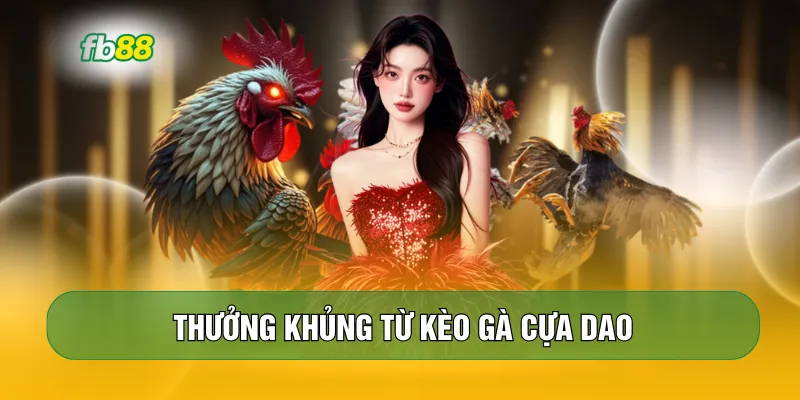 Thưởng khủng từ kèo gà cựa dao