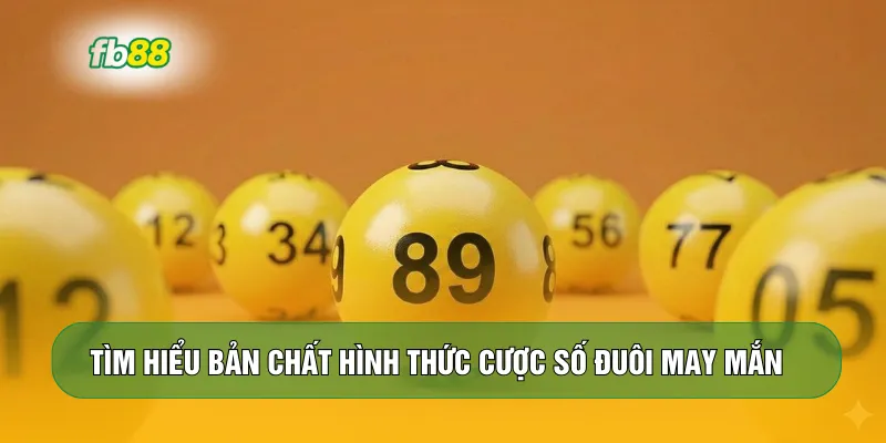 Tìm hiểu bản chất hình thức cược số đuôi may mắn