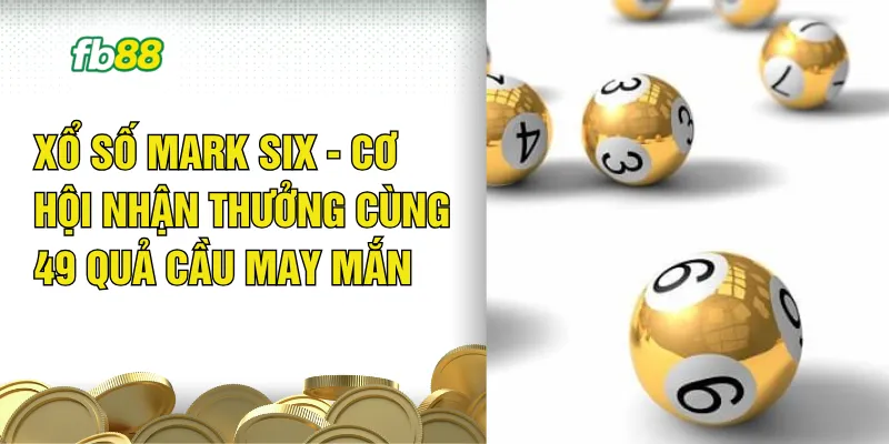 Xổ Số Mark Six - Cơ Hội Nhận Thưởng Cùng 49 Quả Cầu May Mắn