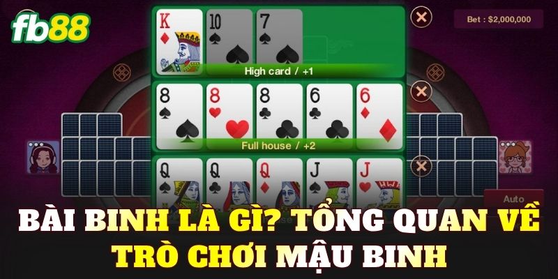 Bài Binh là gì? Tổng quan về trò chơi Mậu Binh