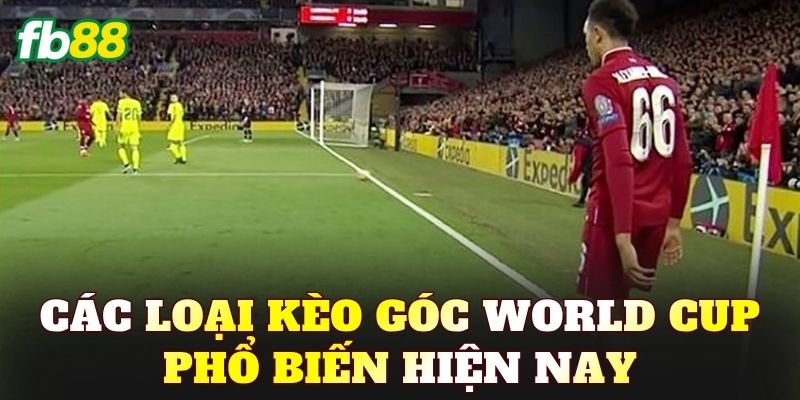 Các loại kèo góc World Cup phổ biến hiện nay