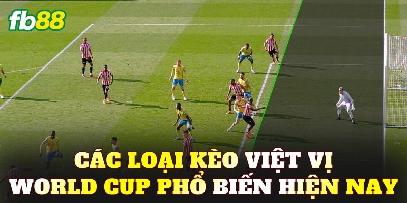 Các loại kèo việt vị World Cup phổ biến hiện nay