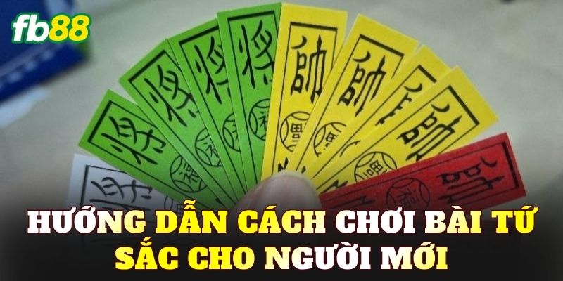 Hướng dẫn cách chơi bài Tứ Sắc cho người mới