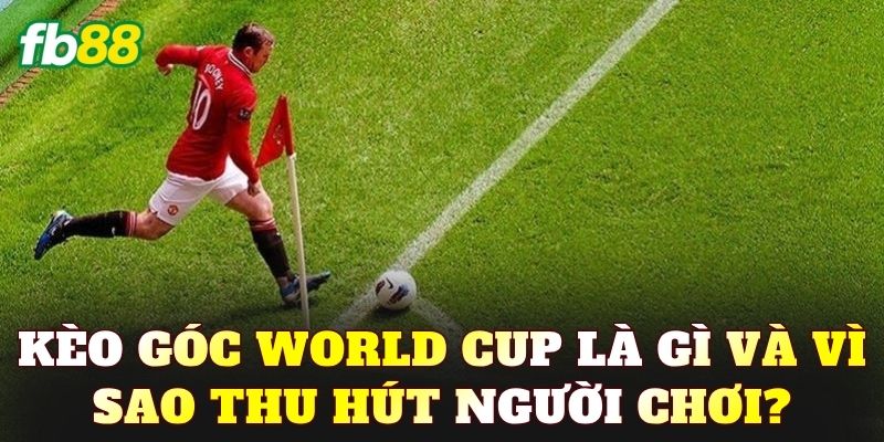 Kèo góc World Cup là gì và vì sao thu hút người chơi?