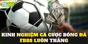 Kinh Nghiệm Cá Cược Bóng Đá FB88 Luôn Thắng