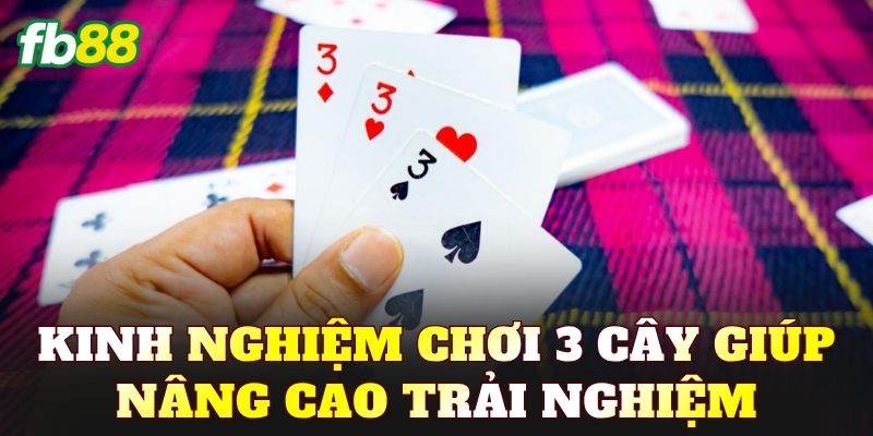 Kinh nghiệm chơi 3 Cây giúp nâng cao trải nghiệm