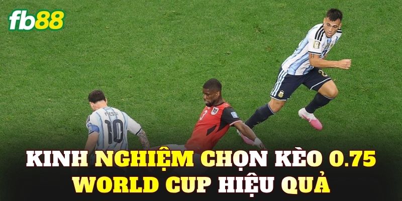 Kinh nghiệm chọn kèo 0.75 World Cup hiệu quả