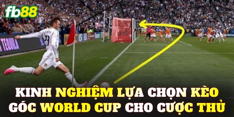 Kinh nghiệm lựa chọn kèo góc World Cup cho cược thủ