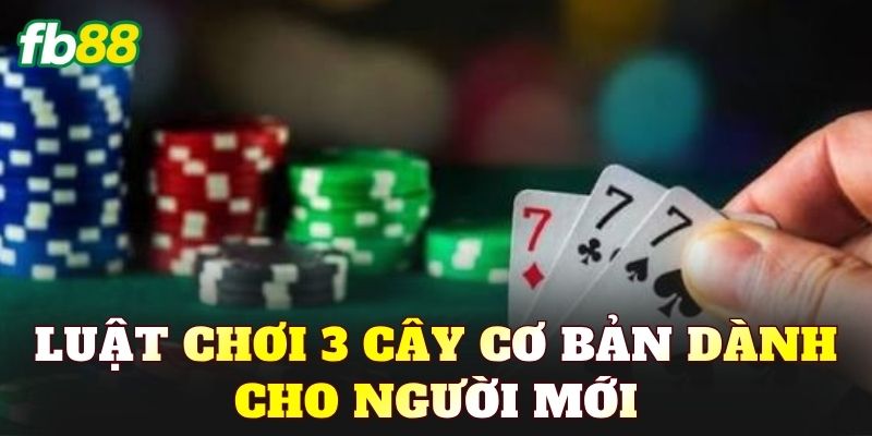Luật chơi 3 Cây cơ bản dành cho người mới