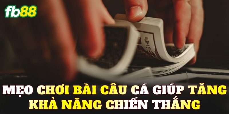Mẹo chơi bài Câu Cá giúp tăng khả năng chiến thắng